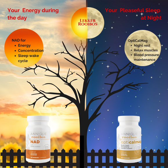 Energy Booster and Sleep Support Combo